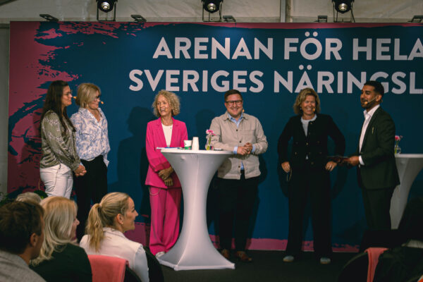 250624 Almedalen-3